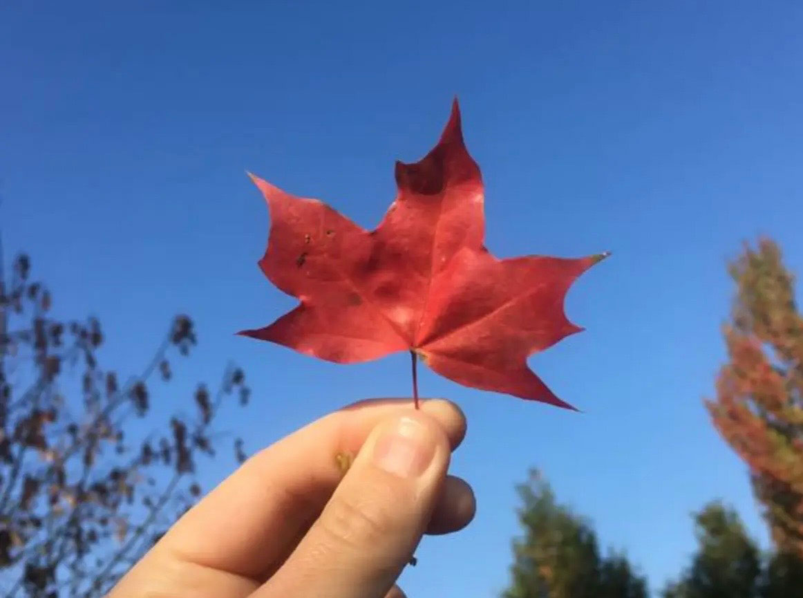 Canada